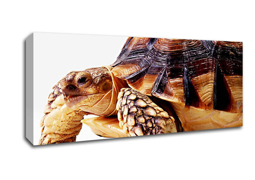 Picture of Tortuous Walk Panoramic Canvas Wall Art