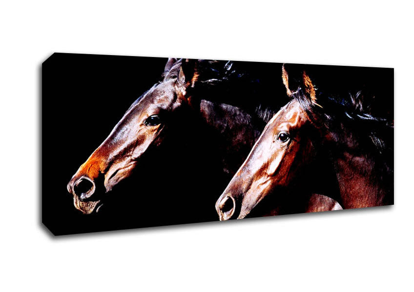 Picture of Twin Stallions Panoramic Canvas Wall Art
