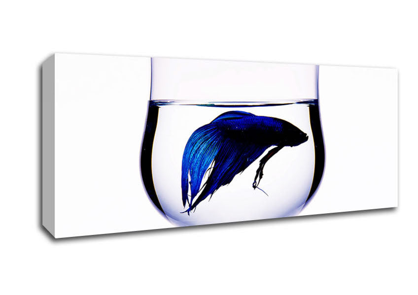 Picture of Wineglass Fish Panoramic Canvas Wall Art