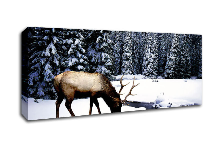 Picture of Winter Deer Panoramic Canvas Wall Art