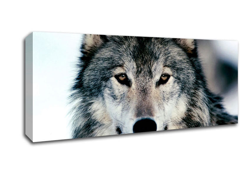 Picture of Wolf Face Panoramic Canvas Wall Art