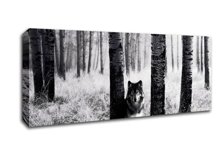 Picture of Wolf In The Forest Panoramic Canvas Wall Art