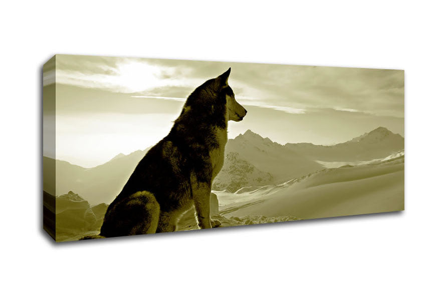 Picture of Wolf Mountain Panoramic Canvas Wall Art