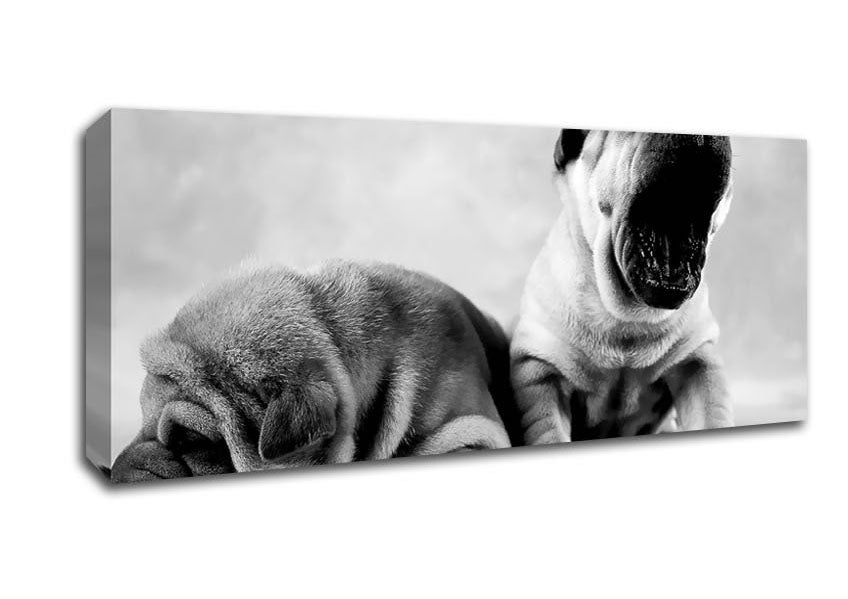 Picture of Wrinkly tired Puppys Panoramic Canvas Wall Art