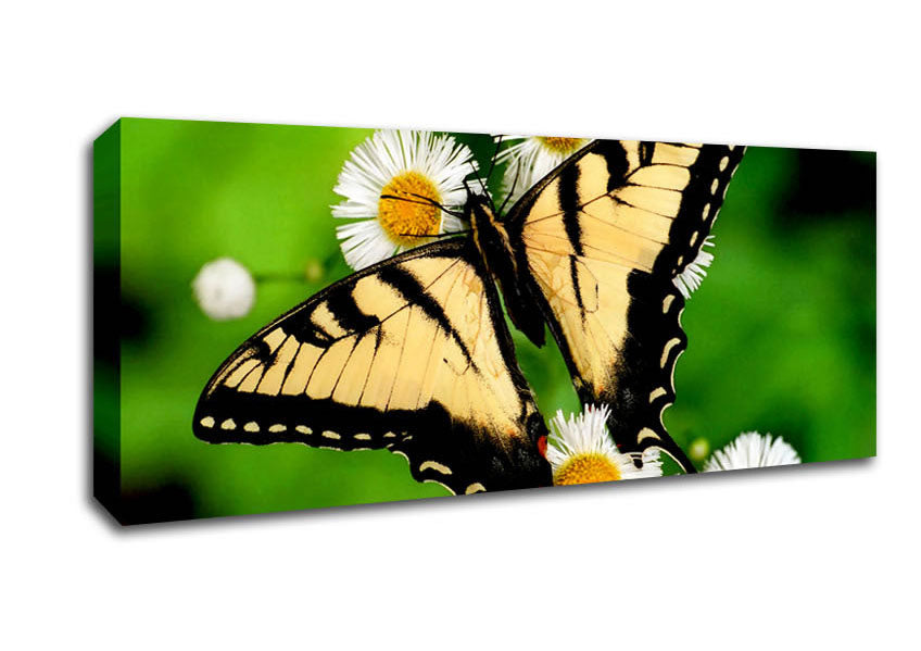 Picture of Yellow Butterfly Panoramic Canvas Wall Art