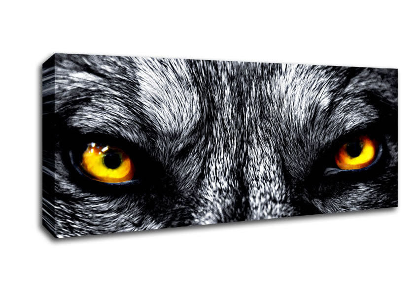 Picture of Yellow Wolf Eyes Panoramic Canvas Wall Art