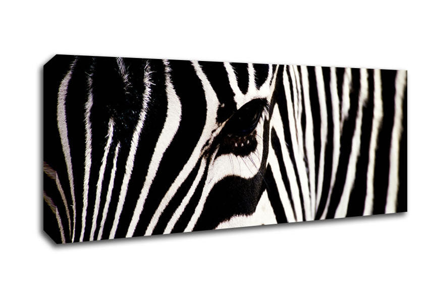 Picture of Zebra Face Panoramic Canvas Wall Art