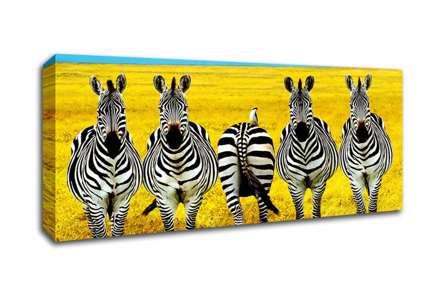 Picture of Zebra Line-Up Panoramic Canvas Wall Art