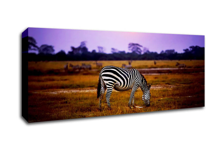 Picture of Zebra Sunset Panoramic Canvas Wall Art