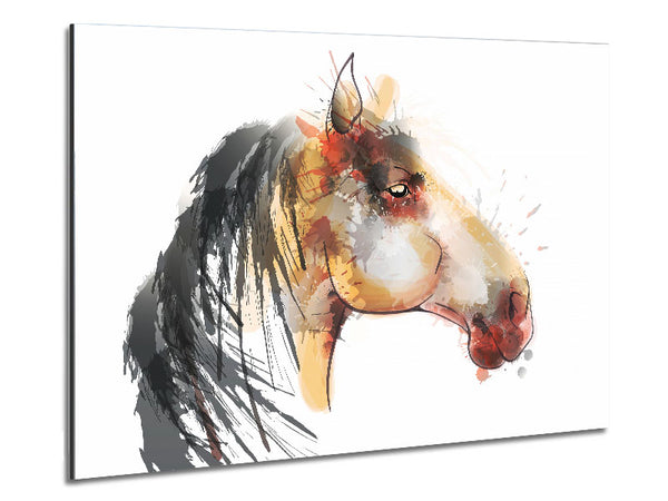 Horse Mane Metal Print