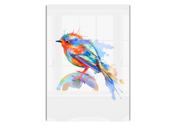Bunter Robin