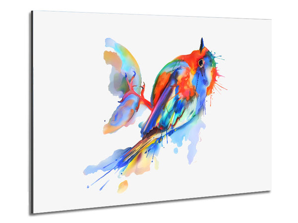 Bunter Robin