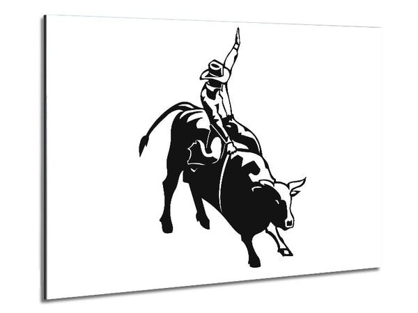 Cowboy-Reiter