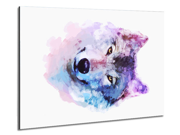 Stunning Wolf Metal Print
