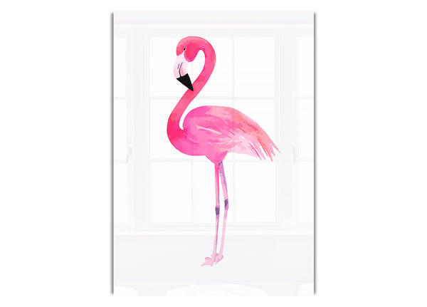 Rosa Flamingo