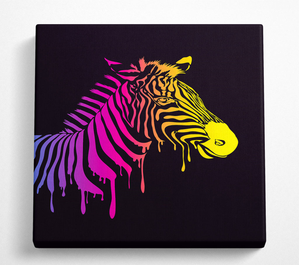 A Square Canvas Print Showing Zebra Rainbow Square Wall Art