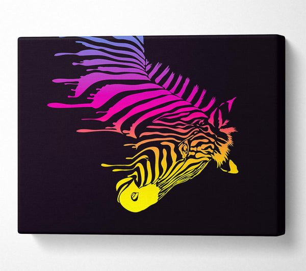 Picture of Zebra Rainbow Canvas Print Wall Art