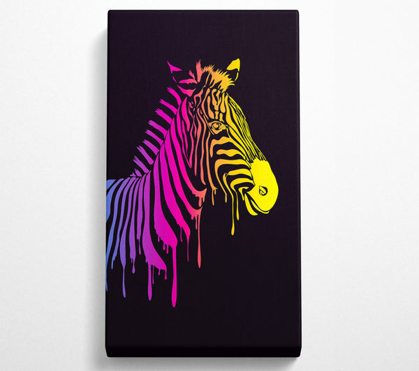 Zebra-Regenbogen