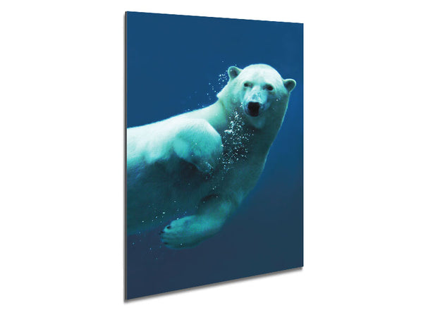 Polar Bear Bubbles Metal Print