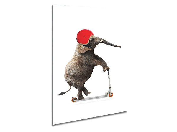 Elephant Scooter Metal Print