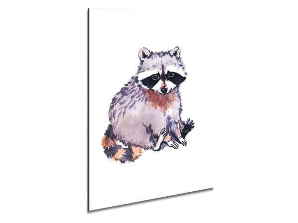 Raccoon Sitting Metal Print