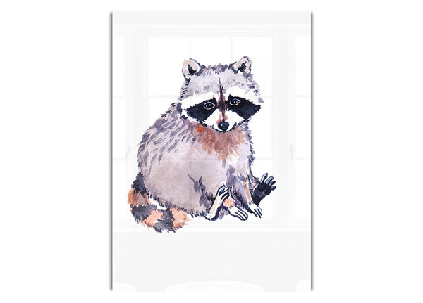 Waschbär sitzend
