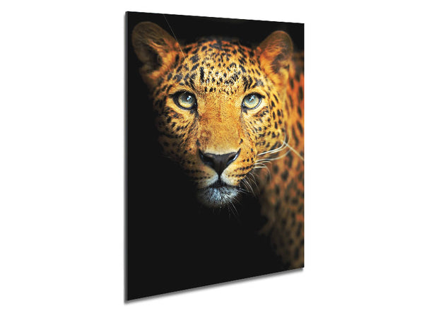 Leopard Beauty Metal Print