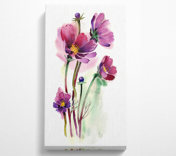 Schönheit der Wildblumen