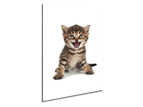 Katzenlachen