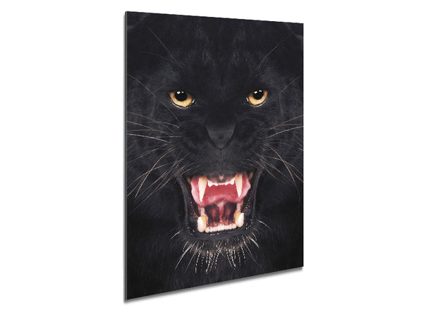 Panther Roar Metal Print