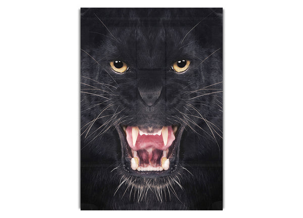 Pantherbrüllen