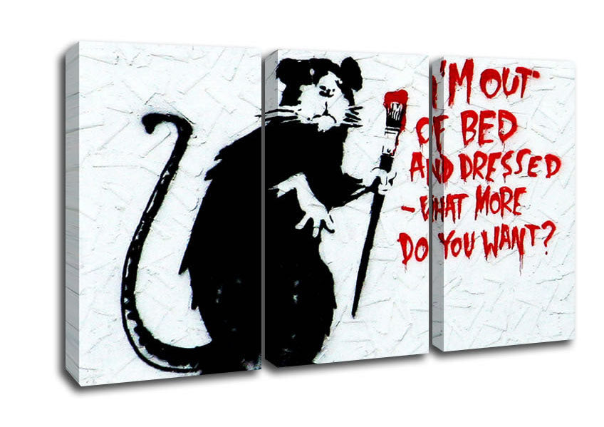 Picture of Im Out Of Bed And Dressed What More Do You Want Rat 3 Panel Canvas Wall Art