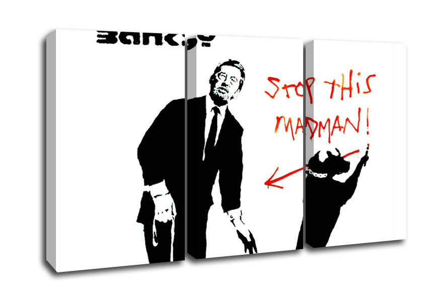Picture of Stop This Madman 3 Panel Canvas Wall Art