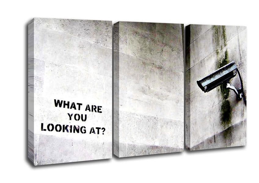 Picture of What Are You Looking At 3 Panel Canvas Wall Art