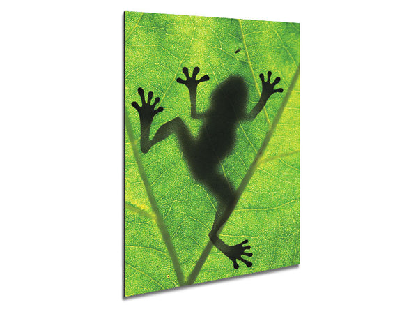 Frog Shadow Metal Print