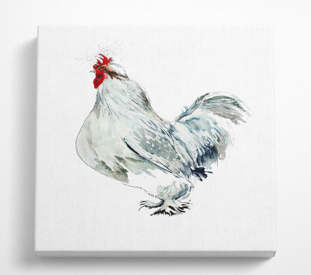 A Square Canvas Print Showing White Hen Square Wall Art