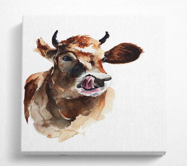 A Square Canvas Print Showing Cow Licking Good Square Wall Art