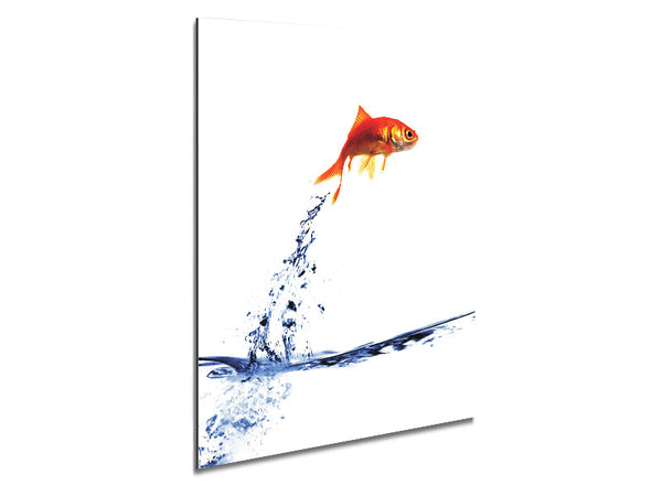 Jumping Goldfish Metal Print