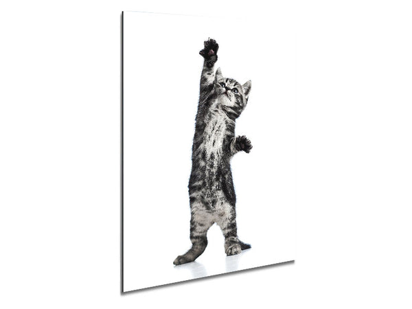 High Five Cat Metal Print