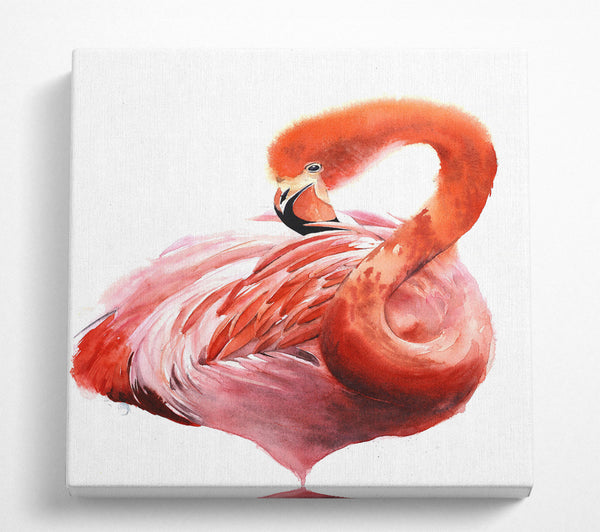 A Square Canvas Print Showing Flamingo Groom Square Wall Art