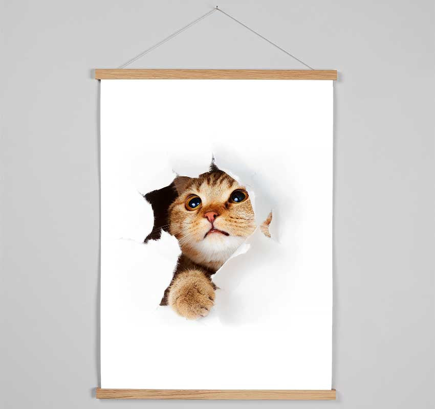 Cat Breakthrough Hanging Poster - Wallart-Direct UK