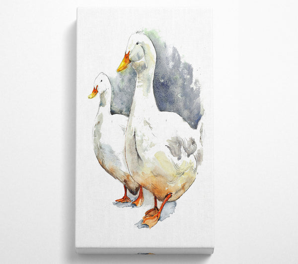 Gänse