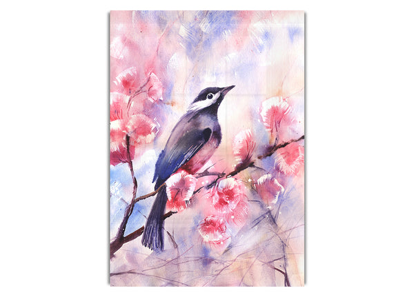 Kirschblütenvogel