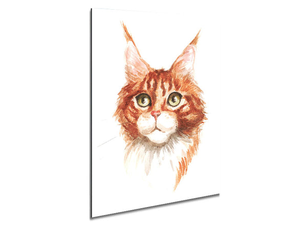 Ginger Tom Cat Metal Print