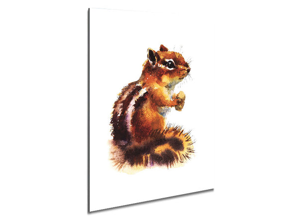Squirrel Nuts Metal Print