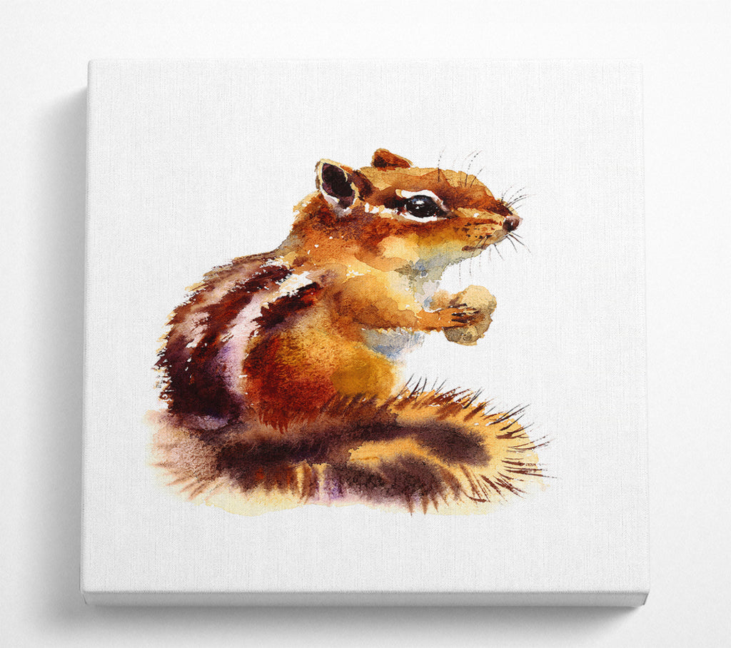 A Square Canvas Print Showing Squirrel Nuts Square Wall Art