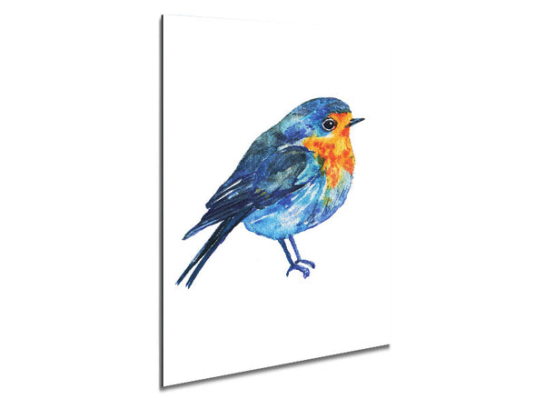 Robin Metal Print