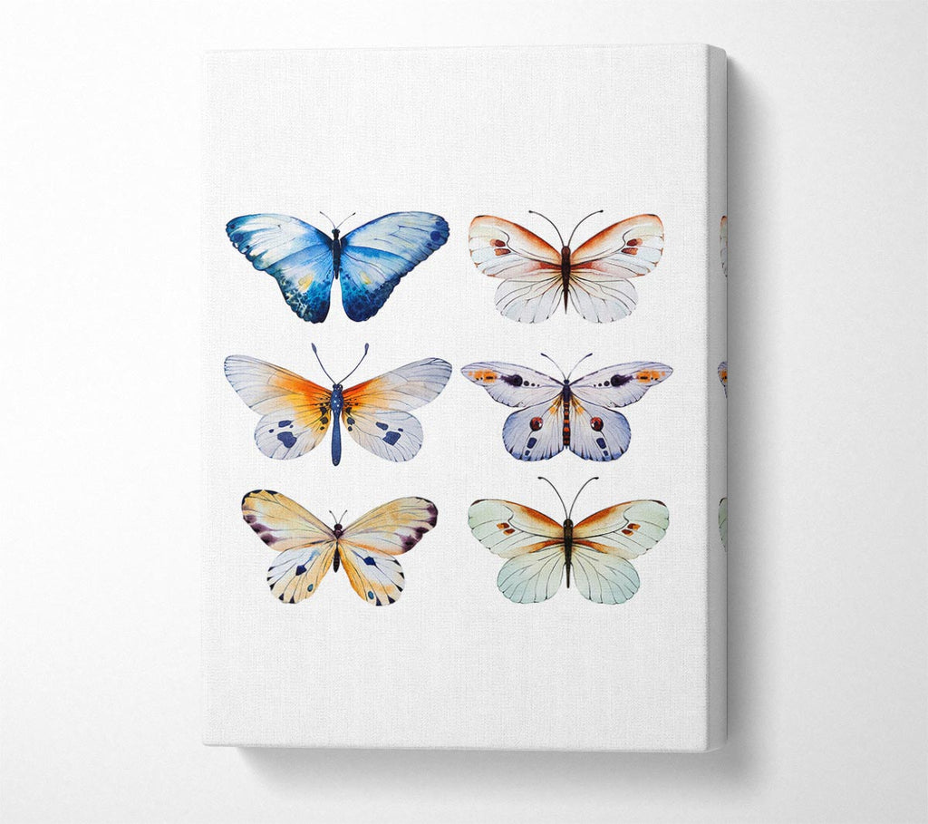 Picture of Butterfly Breeds Canvas Print Wall Art