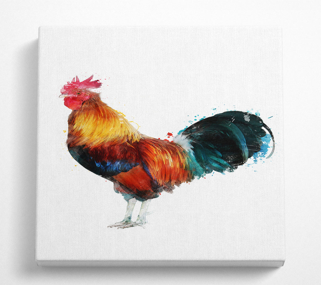 A Square Canvas Print Showing Rooster Square Wall Art