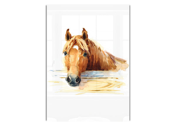 Pferd im Stall